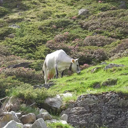 شقة Haus Neurauter نيديرثاي
