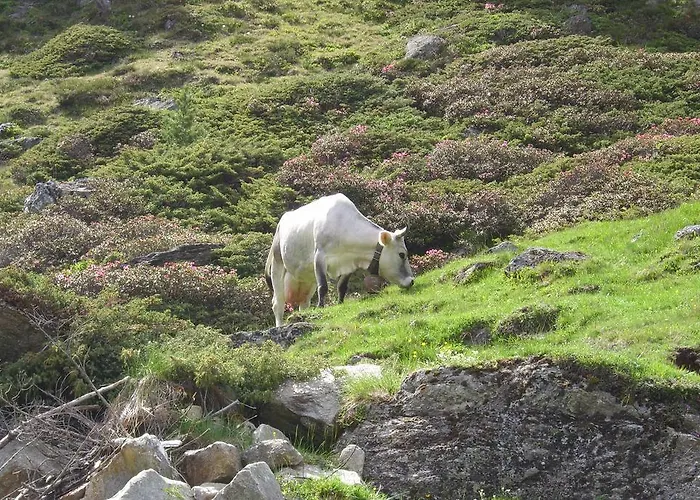 Appartamento Haus Neurauter Niederthai